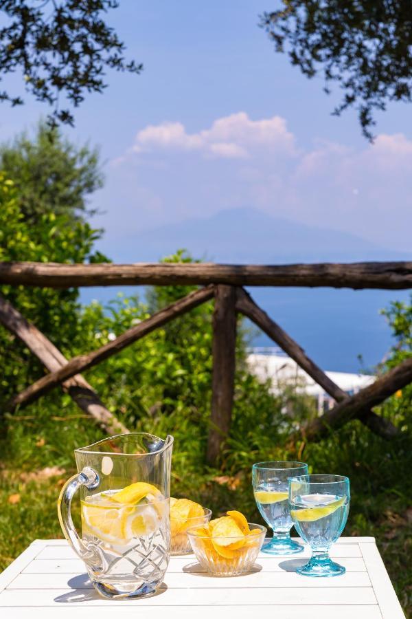 Villa Ada Sorrento Esterno foto